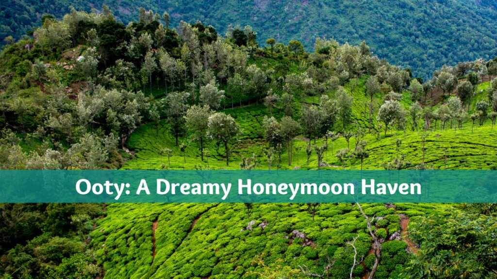 Read more about the article Ooty: The Best Honeymoon Destination | Budget