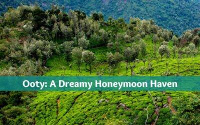 Ooty: The Best Honeymoon Destination | Budget