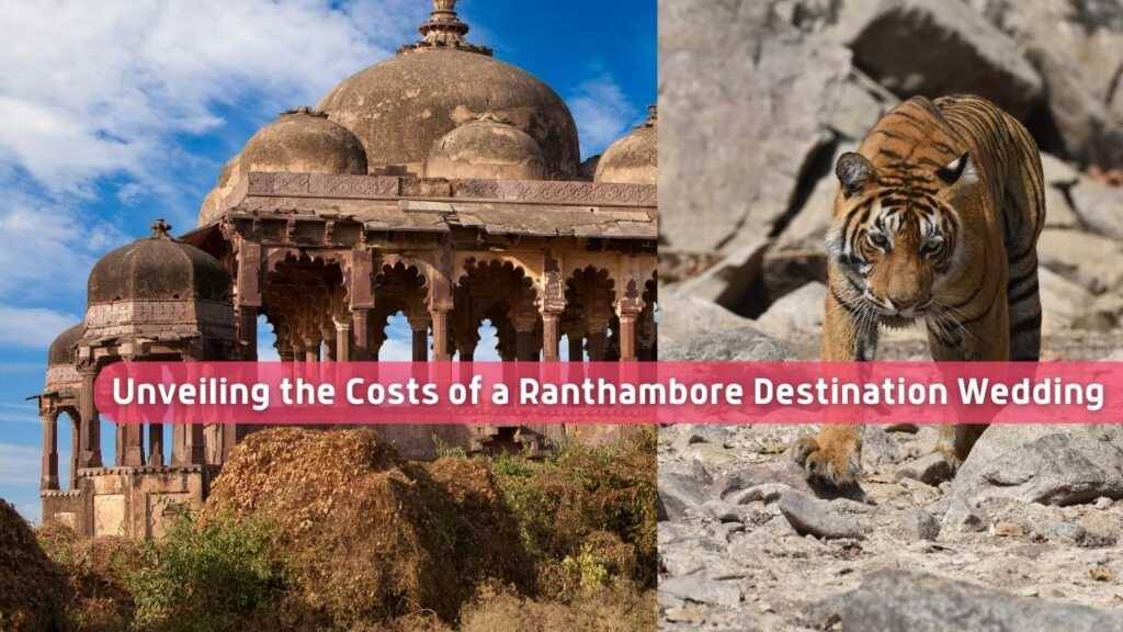 Read more about the article Unveiling the Costs of a Ranthambore Destination Wedding: Your Ultimate Guide to a Magical Jungle Affair