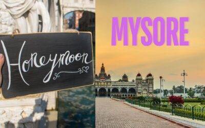 Top 7 Places To Visit In Mysore For Honeymoon