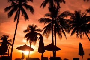sunset