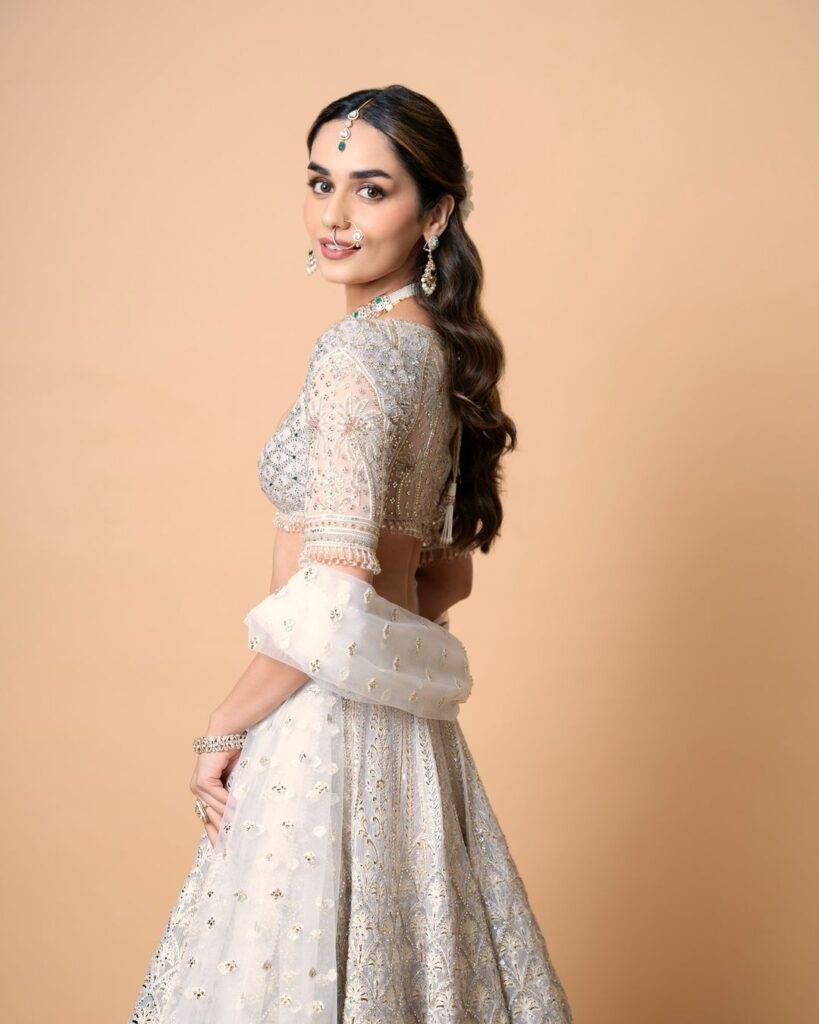 Manushi Chhillar's