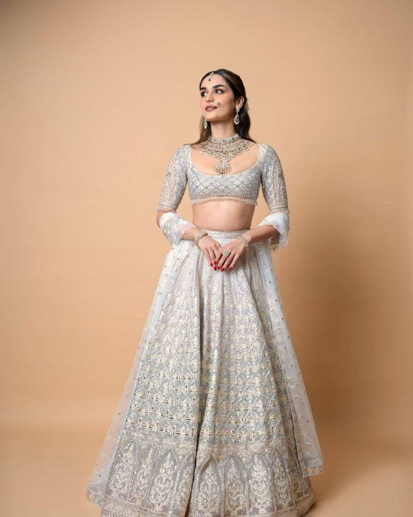 Manushi Chhillar's