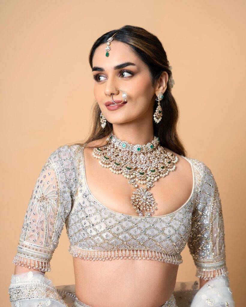 Manushi Chhillar's