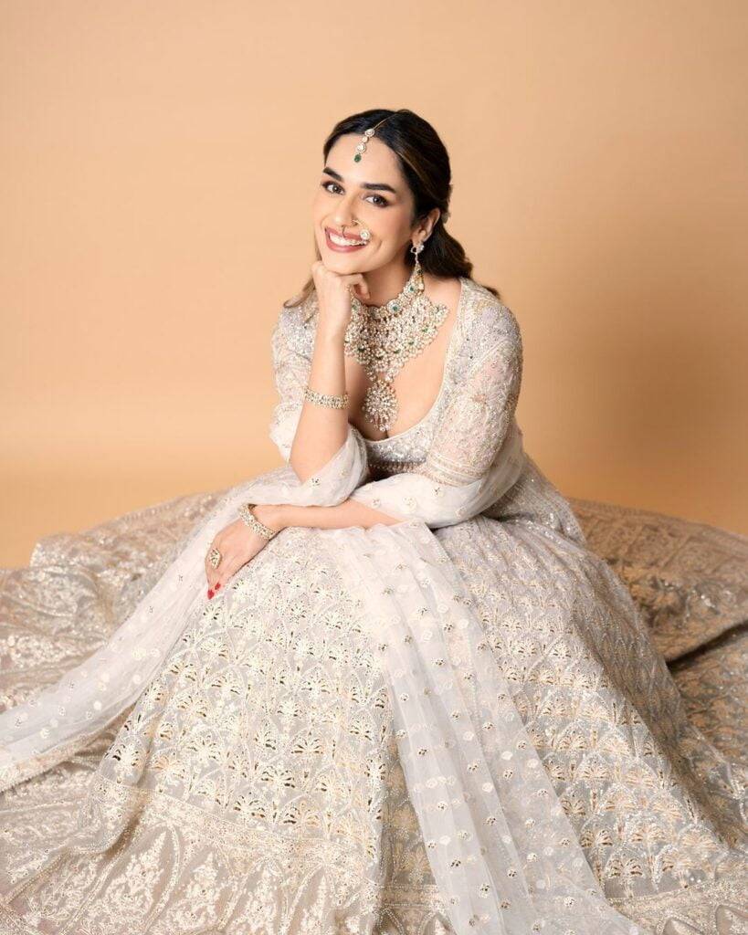 Manushi Chhillar's